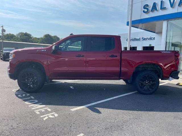 2024 Chevrolet Silverado 1500 Vehicle Photo in GARDNER, MA 01440-3110