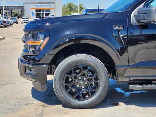 2024 Ford F-150 Vehicle Photo in Stephenville, TX 76401-3713