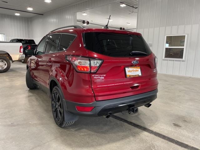 2018 Ford Escape Vehicle Photo in GLENWOOD, MN 56334-1123