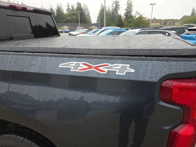 2020 Chevrolet Silverado 1500 Vehicle Photo in EVERETT, WA 98203-5662