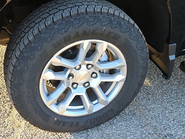 2024 Chevrolet Silverado 1500 Vehicle Photo in SAN ANGELO, TX 76903-5798