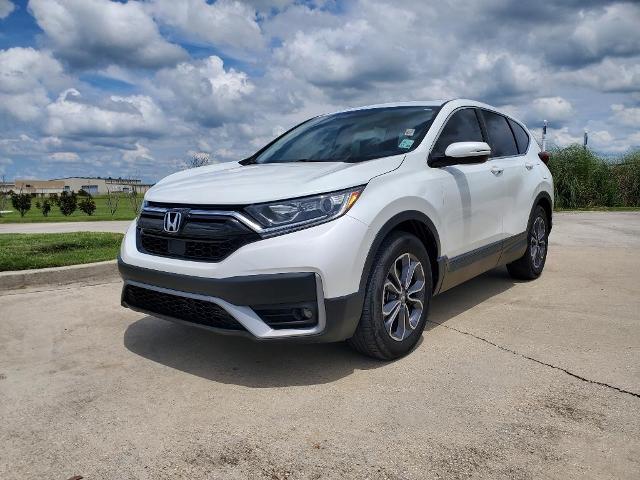 2022 Honda CR-V Vehicle Photo in BROUSSARD, LA 70518-0000