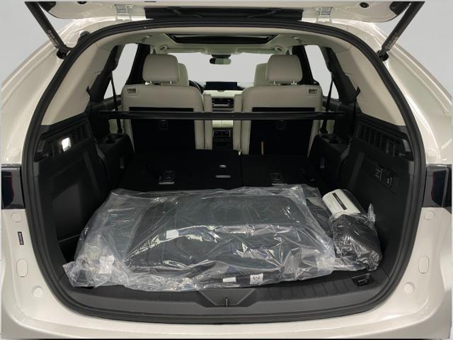 2024 Mazda CX-90 Vehicle Photo in Appleton, WI 54913