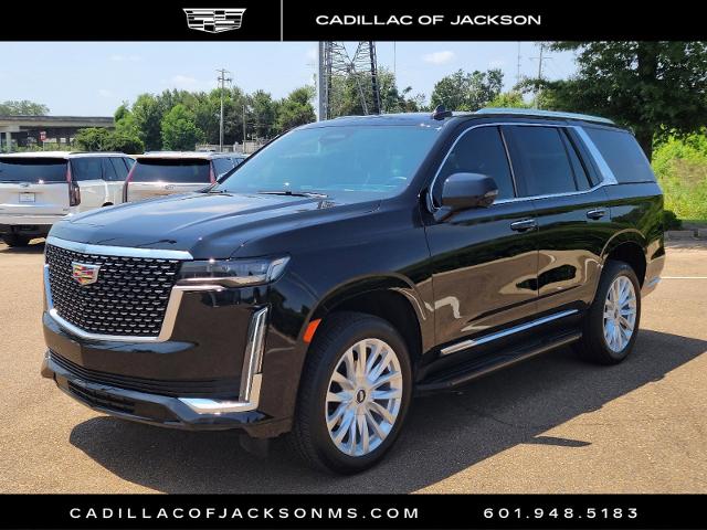 2023 Cadillac Escalade Vehicle Photo in RIDGELAND, MS 39157-4406