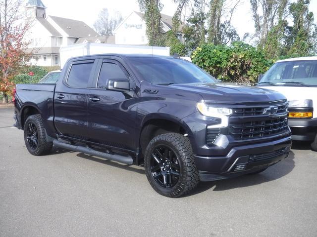 2023 Chevrolet Silverado 1500 Vehicle Photo in JASPER, GA 30143-8655