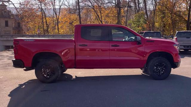 2024 Chevrolet Silverado 1500 Vehicle Photo in THOMPSONTOWN, PA 17094-9014