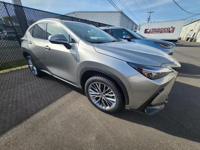 2022 Lexus NX Vehicle Photo in MADISON, WI 53713-3220