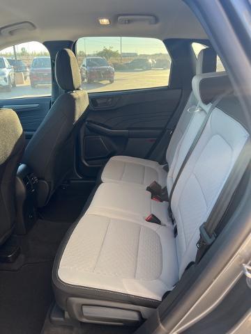 2024 Ford Escape Vehicle Photo in Winslow, AZ 86047-2439