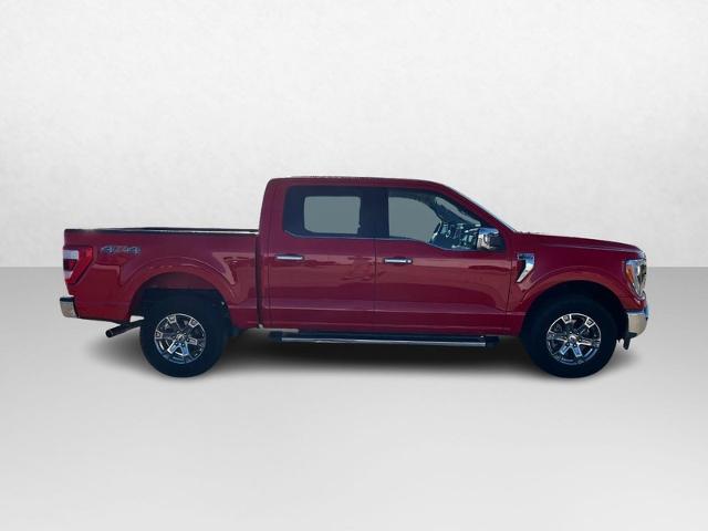 Used 2023 Ford F-150 King Ranch with VIN 1FTFW1E52PKD34659 for sale in Bowling Green, MO