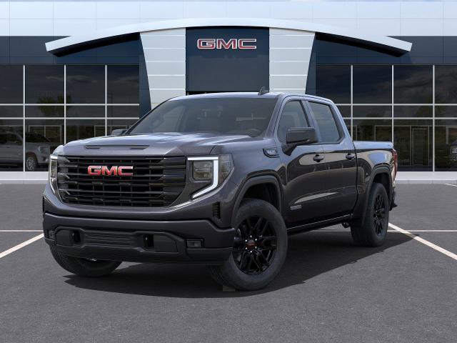 2025 GMC Sierra 1500 Vehicle Photo in GLENSHAW, PA 15116-1739