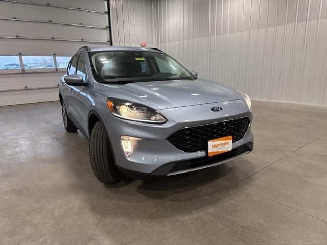 2022 Ford Escape Vehicle Photo in GLENWOOD, MN 56334-1123