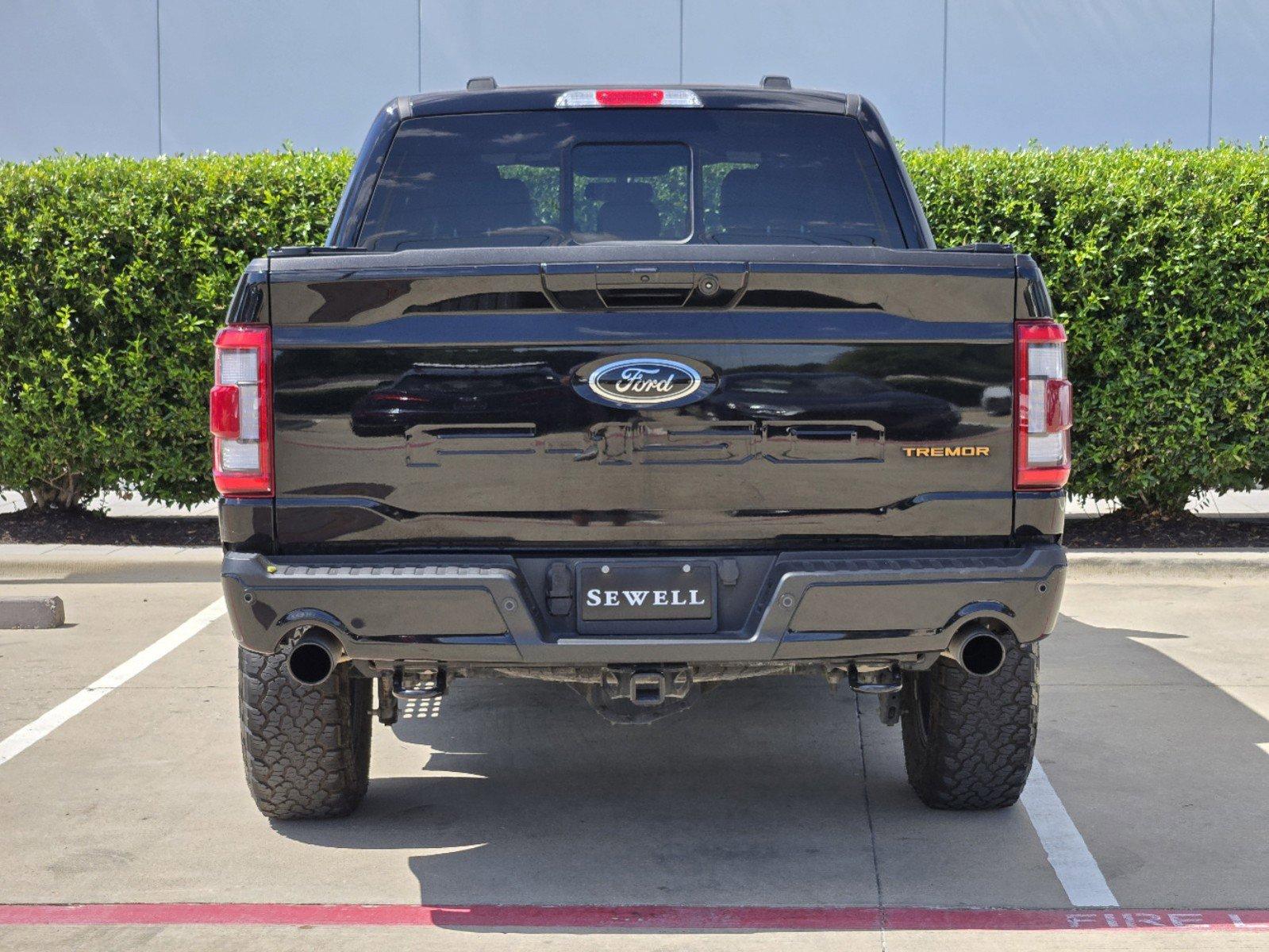 2023 Ford F-150 Vehicle Photo in MCKINNEY, TX 75070