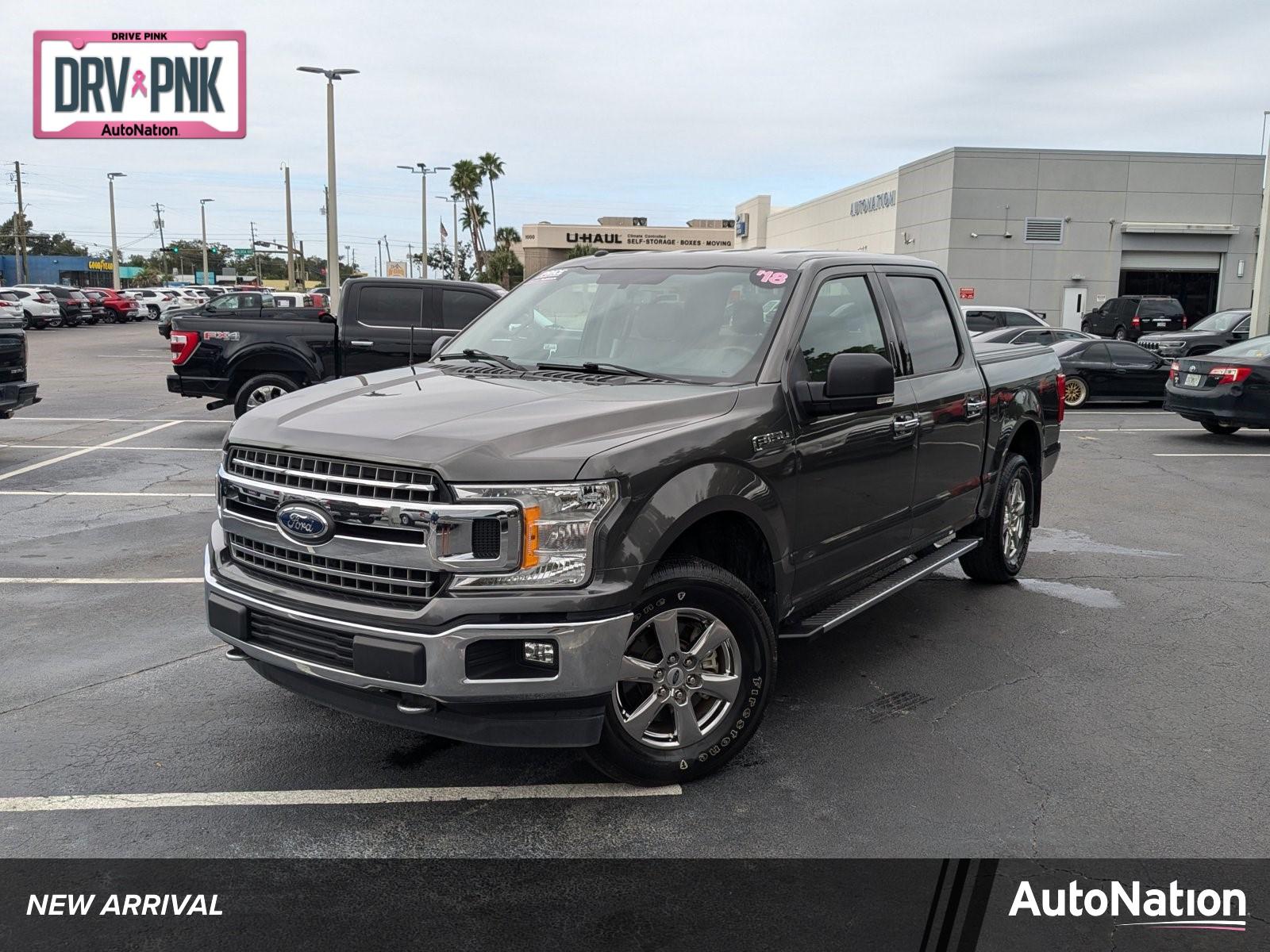 2018 Ford F-150 Vehicle Photo in Panama City, FL 32401