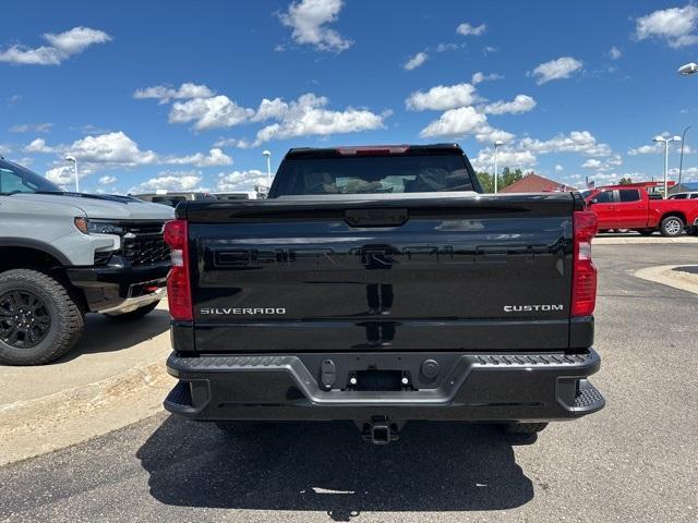 2024 Chevrolet Silverado 1500 Vehicle Photo in GLENWOOD, MN 56334-1123