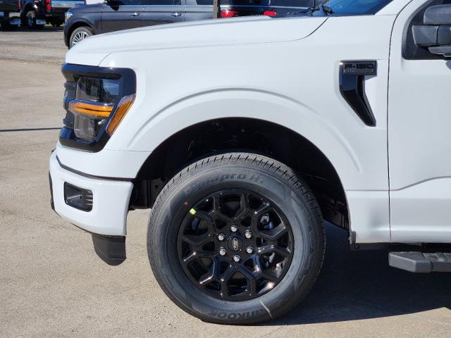 2024 Ford F-150 Vehicle Photo in Pilot Point, TX 76258