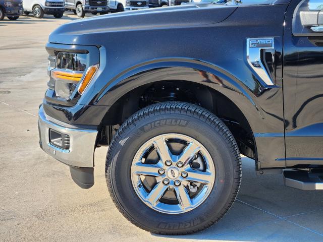 2024 Ford F-150 Vehicle Photo in Stephenville, TX 76401-3713