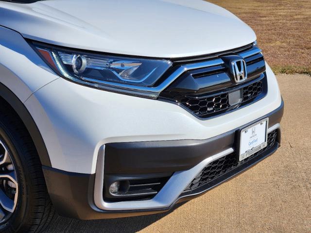 2022 Honda CR-V Vehicle Photo in Denison, TX 75020