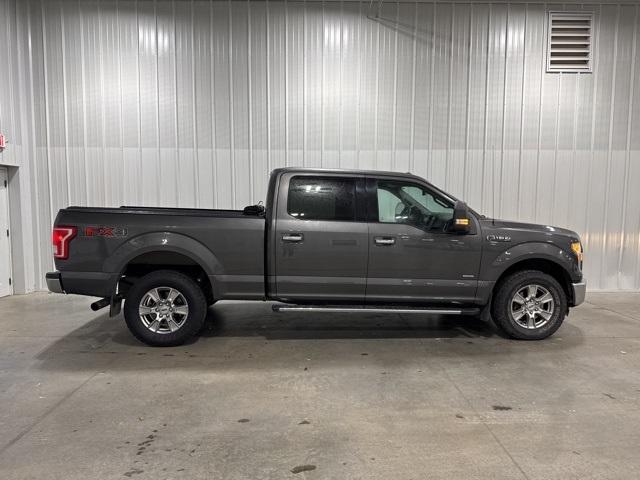 2015 Ford F-150 Vehicle Photo in GLENWOOD, MN 56334-1123