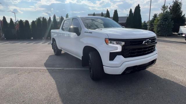 2022 Chevrolet Silverado 1500 Vehicle Photo in INDIANAPOLIS, IN 46227-0991