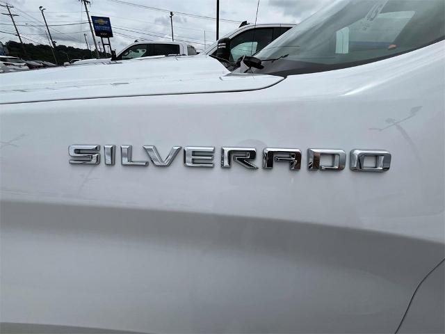 2023 Chevrolet Silverado 1500 Vehicle Photo in ALCOA, TN 37701-3235