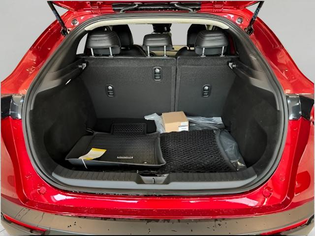 2024 Mazda CX-30 Vehicle Photo in Green Bay, WI 54304