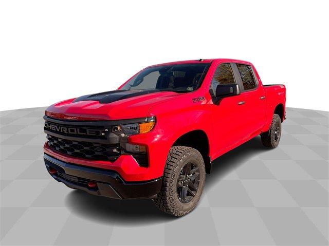 2024 Chevrolet Silverado 1500 Vehicle Photo in THOMPSONTOWN, PA 17094-9014