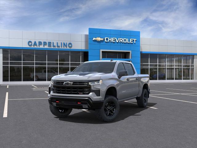 2024 Chevrolet Silverado 1500 Vehicle Photo in BOSTON, NY 14025-9684