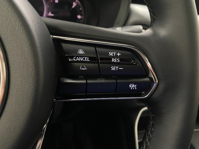 2024 Mazda CX-90 Vehicle Photo in Appleton, WI 54913