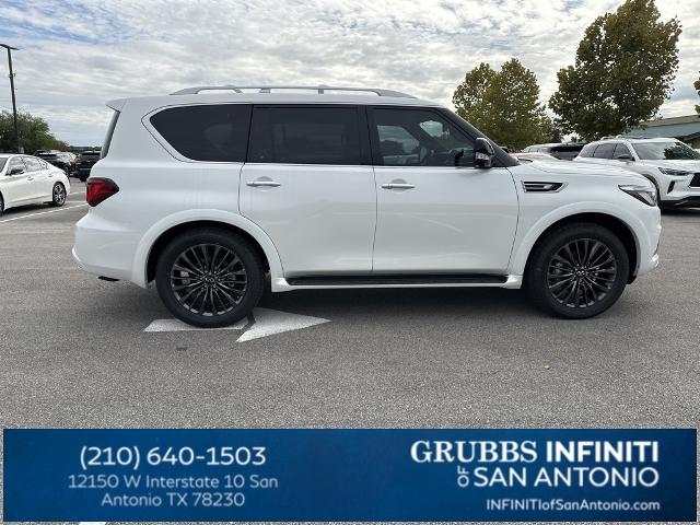 2024 INFINITI QX80 Vehicle Photo in San Antonio, TX 78230