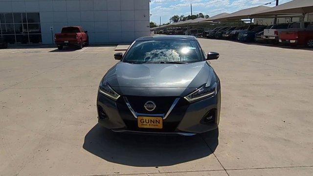 2019 Nissan Maxima Vehicle Photo in SELMA, TX 78154-1460