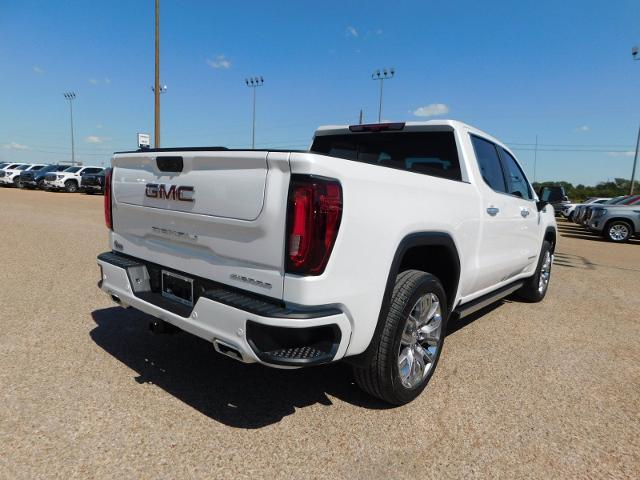 2025 GMC Sierra 1500 Vehicle Photo in GATESVILLE, TX 76528-2745