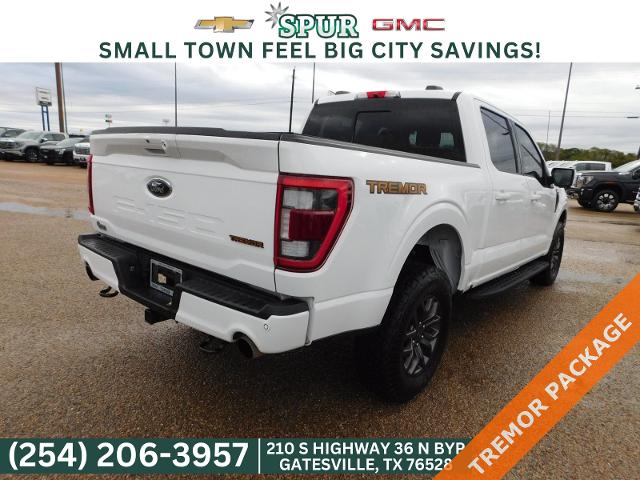 2023 Ford F-150 Vehicle Photo in GATESVILLE, TX 76528-2745