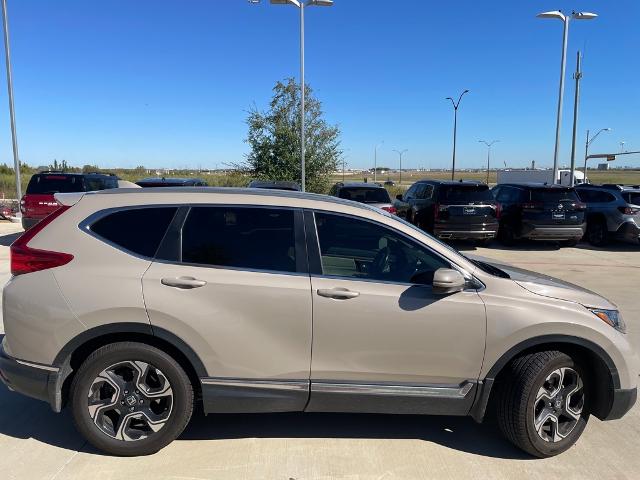 2019 Honda CR-V Vehicle Photo in Grapevine, TX 76051