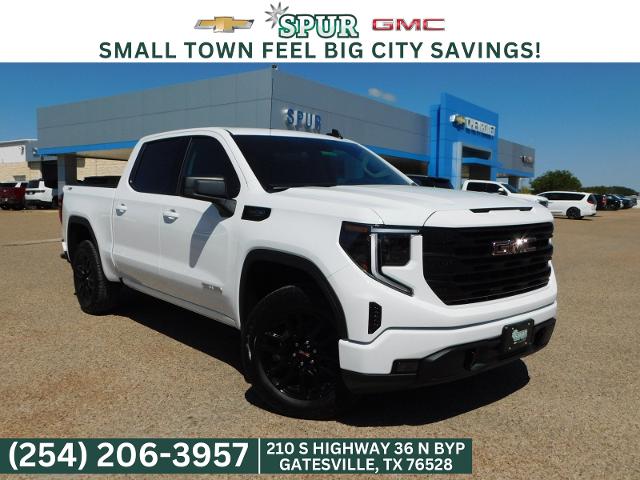 2025 GMC Sierra 1500 Vehicle Photo in GATESVILLE, TX 76528-2745