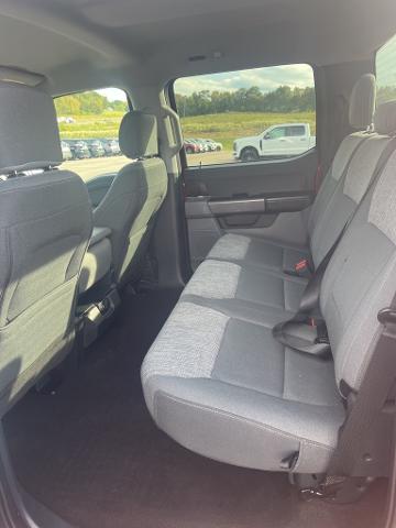 2021 Ford F-150 Vehicle Photo in Jackson, OH 45640-9766