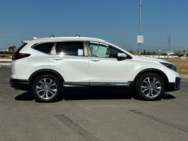 2020 Honda CR-V Vehicle Photo in PITTSBURG, CA 94565-7121