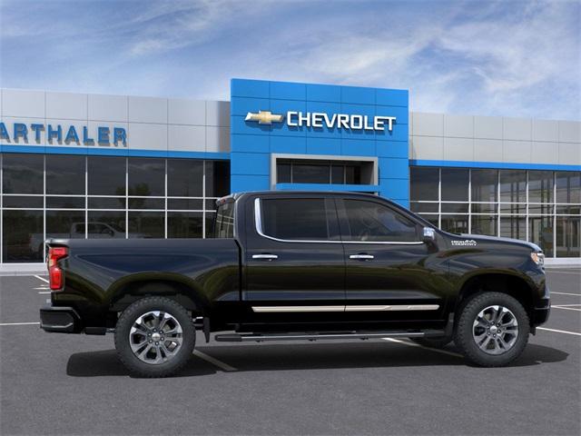 2025 Chevrolet Silverado 1500 Vehicle Photo in GLENWOOD, MN 56334-1123