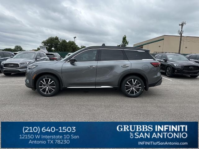 2024 INFINITI QX60 Vehicle Photo in San Antonio, TX 78230