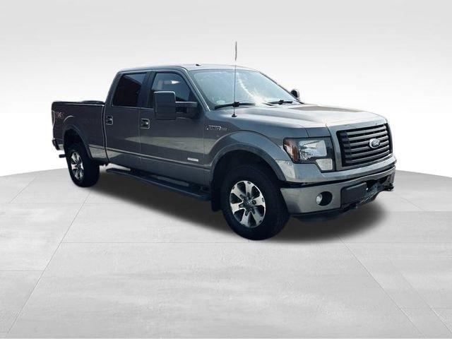 2011 Ford F-150 Vehicle Photo in MEDINA, OH 44256-9631