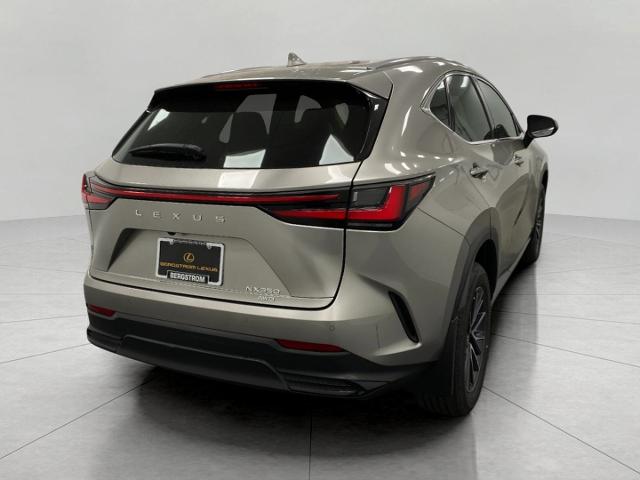 2022 Lexus NX 350 Vehicle Photo in Appleton, WI 54913