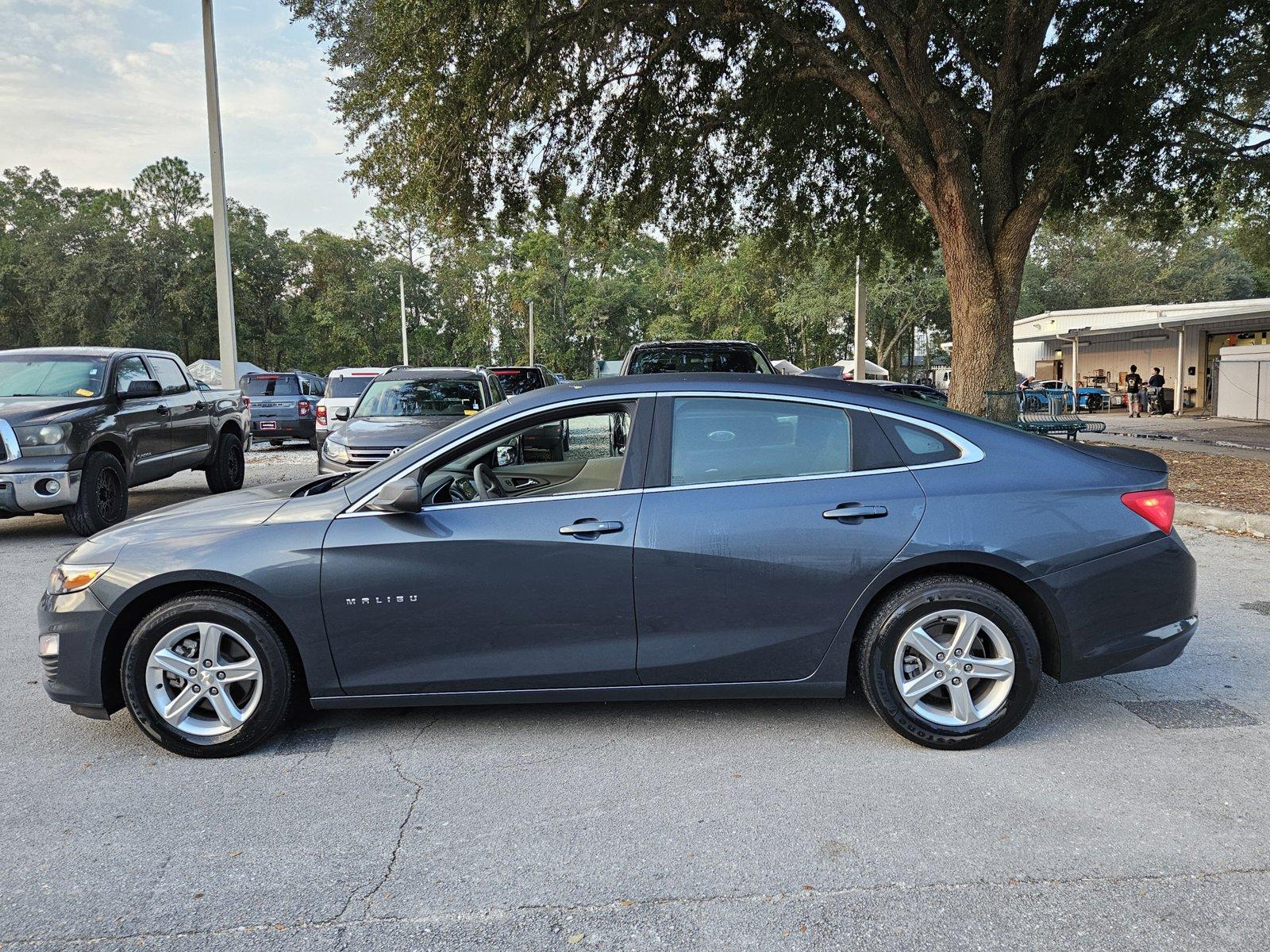 2019 Chevrolet Malibu Vehicle Photo in Jacksonville, FL 32256