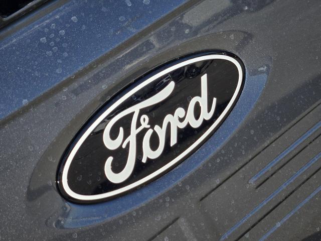 2024 Ford F-150 Vehicle Photo in STEPHENVILLE, TX 76401-3713