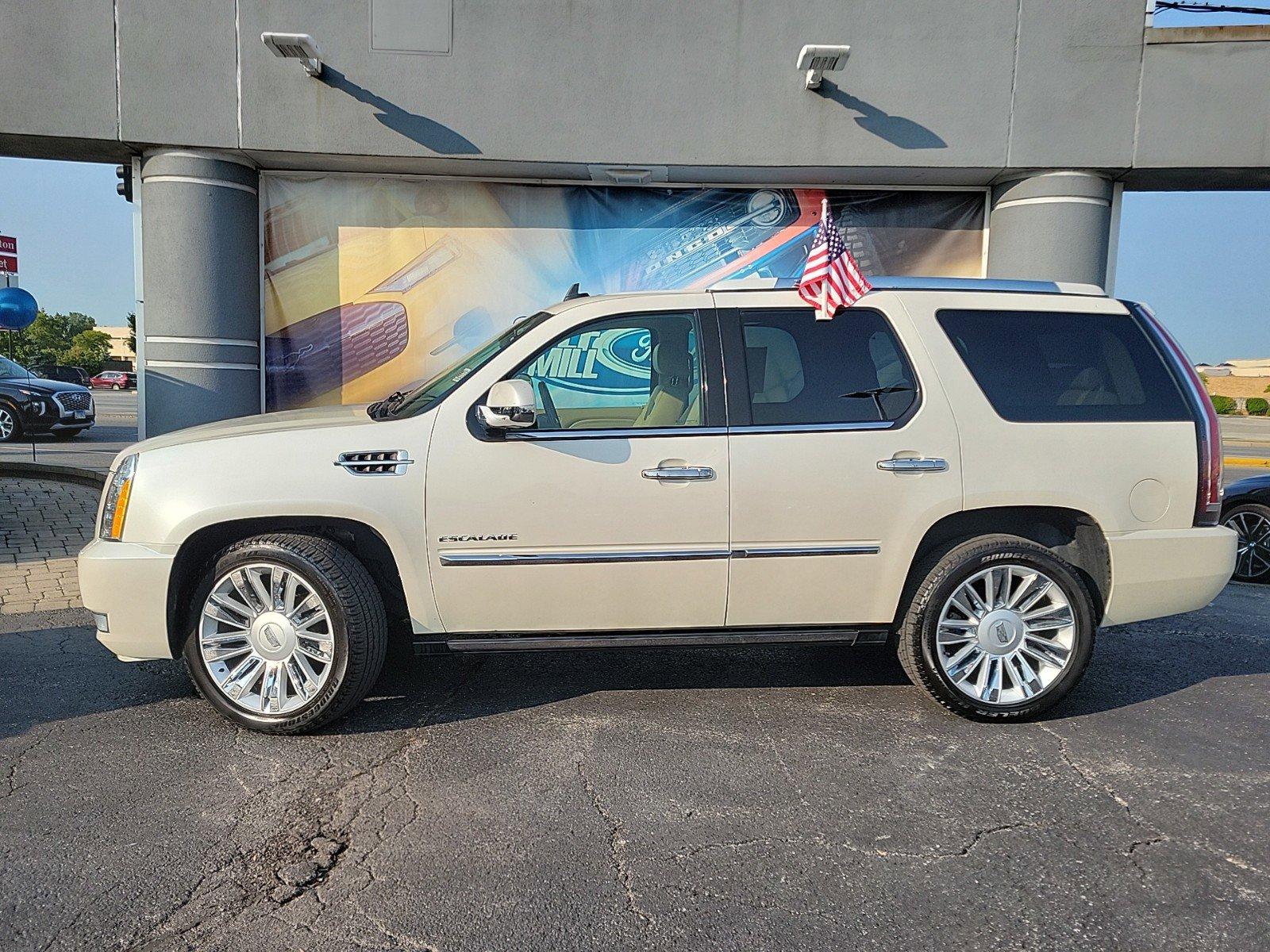 2010 Cadillac Escalade Vehicle Photo in Plainfield, IL 60586