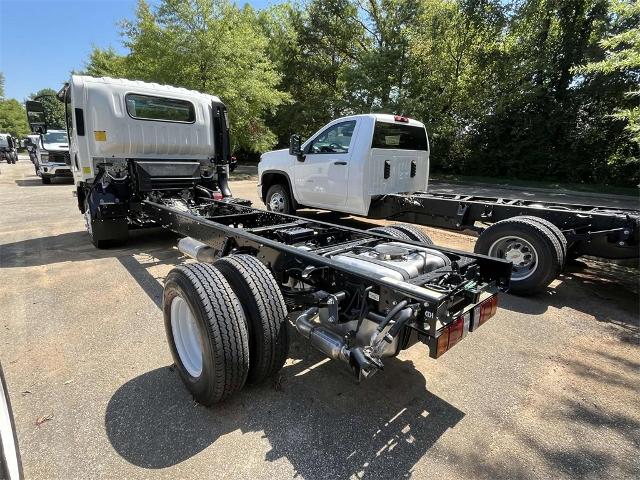 2025 Chevrolet Low Cab Forward 3500 Vehicle Photo in ALCOA, TN 37701-3235