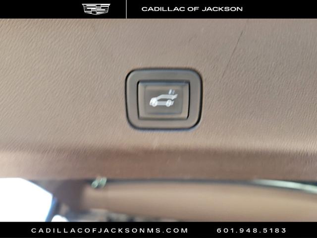 2021 Cadillac Escalade Vehicle Photo in RIDGELAND, MS 39157-4406