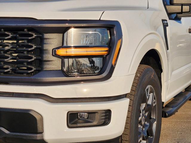 2024 Ford F-150 Vehicle Photo in Pilot Point, TX 76258