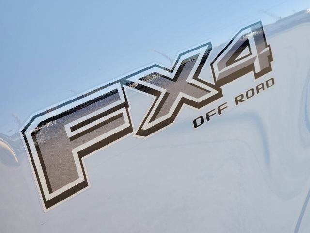 2024 Ford F-150 Vehicle Photo in Pilot Point, TX 76258