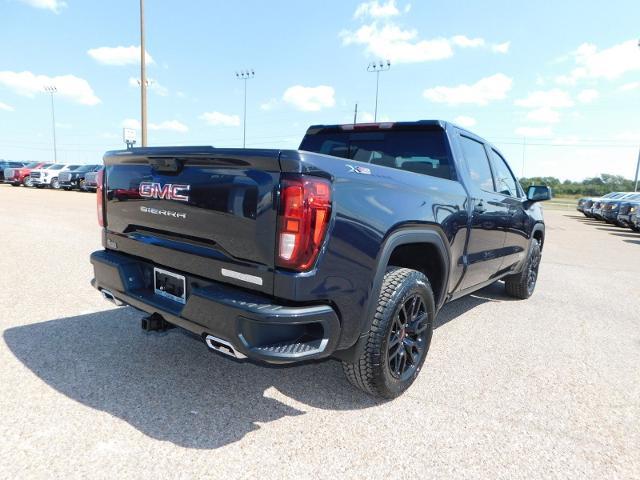 2025 GMC Sierra 1500 Vehicle Photo in GATESVILLE, TX 76528-2745