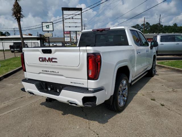 2024 GMC Sierra 1500 Vehicle Photo in LAFAYETTE, LA 70503-4541