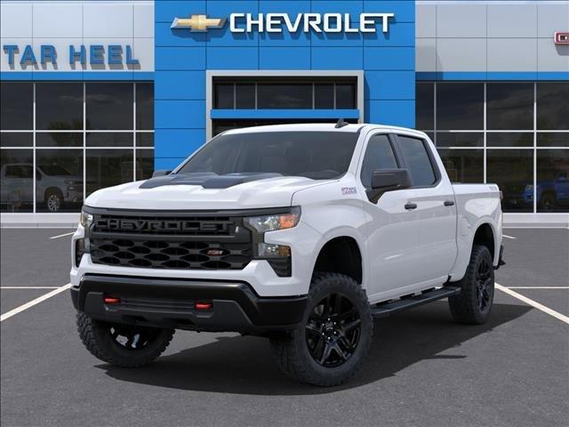 2024 Chevrolet Silverado 1500 Vehicle Photo in ROXBORO, NC 27573-6143